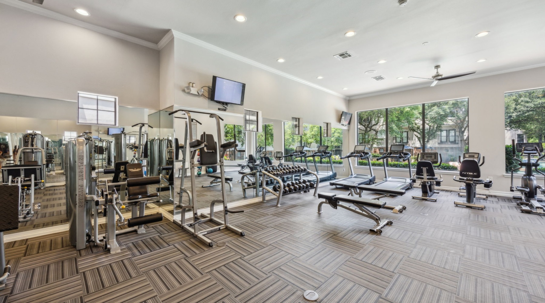 A Step Above the Rest	